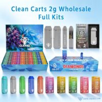 Clean Carts 2g Empty wholesale full kit showing empty disposable vape pens, drawer packaging boxes, and a 100ct retail display master box.