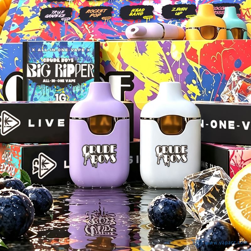 Crude Boys Big Ripper all in one empty disposable vape devices standing on display background