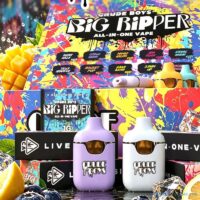 Crude Boys Big Ripper 1g 2g empty disposable vape pens with custom retail packaging boxes