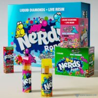 Wholesale Nerds Rope Dual-Chamber 2g Empty All-in-One Vape Pens (with Display Box)