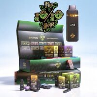 The 10/10 Boys dual chamber empty vape hardware with master display box and retail packaging.