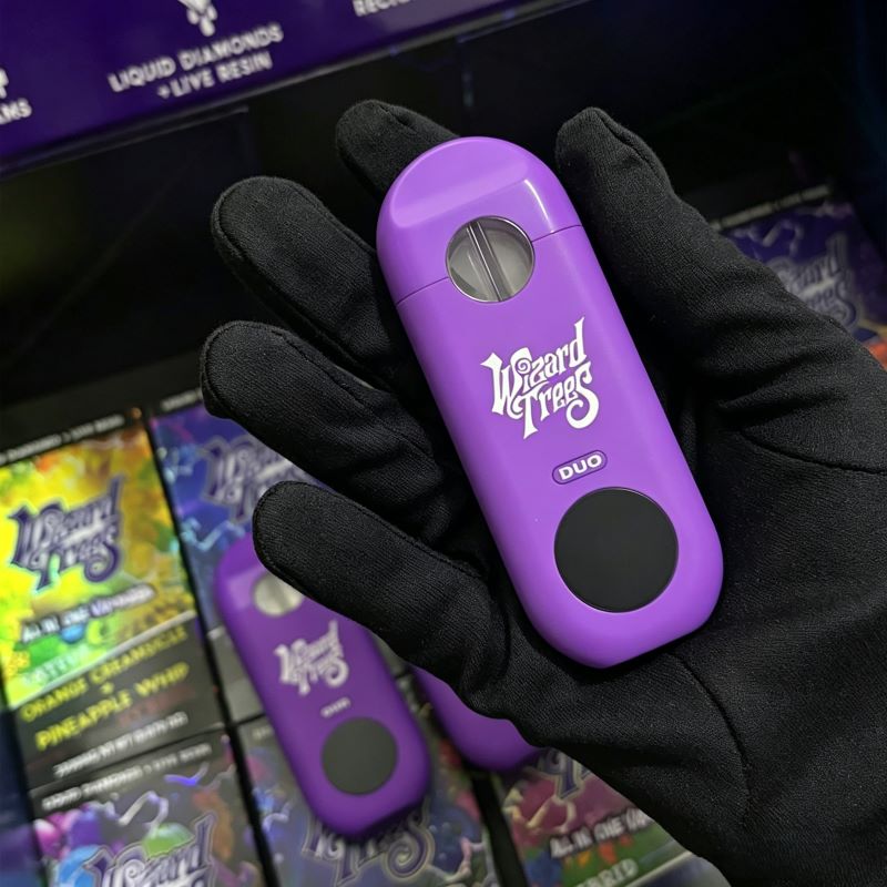 Hand holding a purple Wizard Trees 2ml dual-chamber empty disposable vape pen