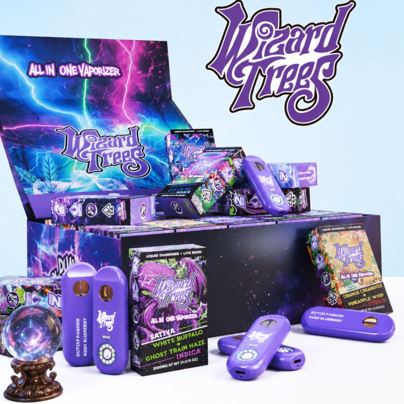 Wizard Trees 2ml dual-flavor empty disposable vape hardware with master carton and retail packaging