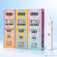 DOZO Blinkers 2.5g empty disposable vape wholesale boxes with empty device