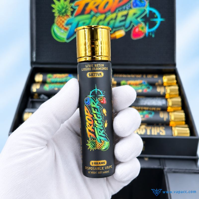 hand holding empty hollow tips v1 2g disposable vape casing back side